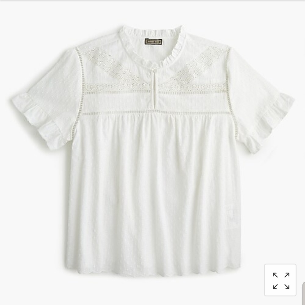 J.Crew Point Sur Ruffle-Sleeve Embroidered Top
